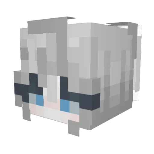 Adventure_Playz Minecraft avatar head, 3D render