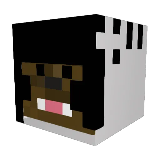 Adventuredude09 Minecraft avatar head, 3D render