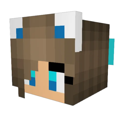 Adventurous_A Minecraft avatar head, 3D render