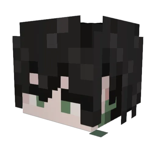 Advis2333 Minecraft avatar head, 3D render