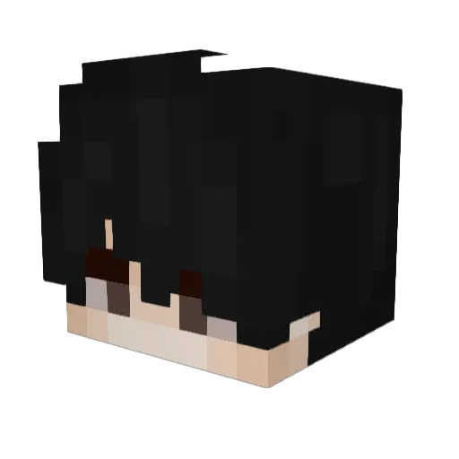 AdvisedRecord13 Minecraft avatar head, 3D render