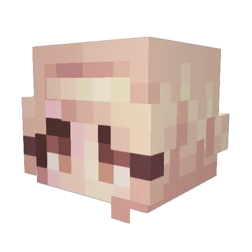 AdvisorSpam Minecraft avatar head, 3D render