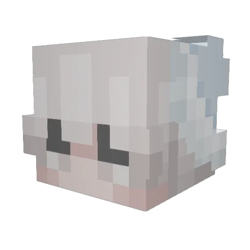Advosery Minecraft avatar head, 3D render