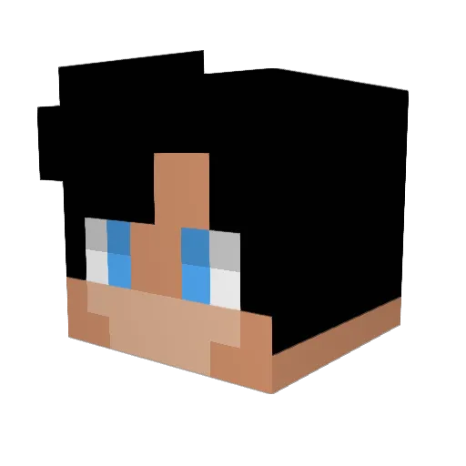 Adweeb_ Minecraft avatar head, 3D render