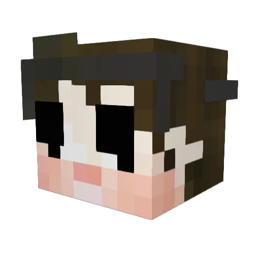 Ady789 Minecraft avatar head, 3D render