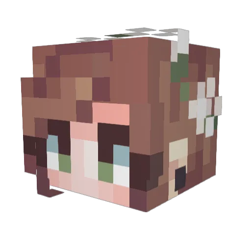 Adya06 Minecraft avatar head, 3D render