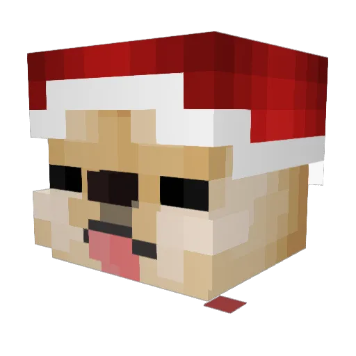 Adytza2003 Minecraft avatar head, 3D render