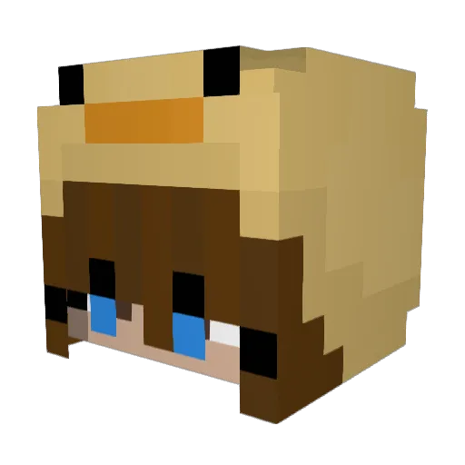Adza06 Minecraft avatar head, 3D render