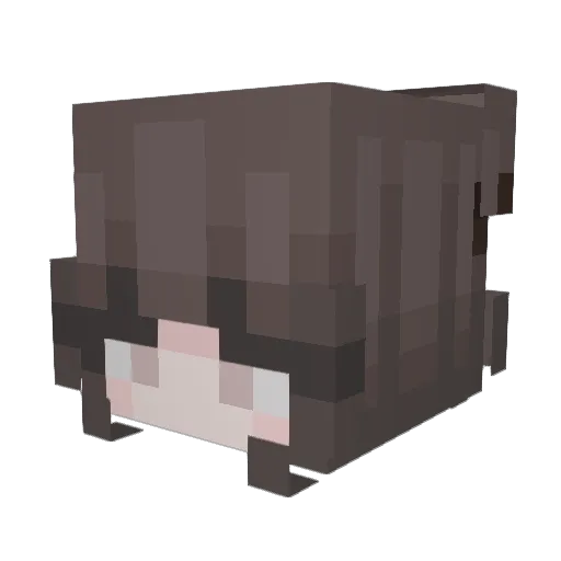 Adzidases Minecraft avatar head, 3D render