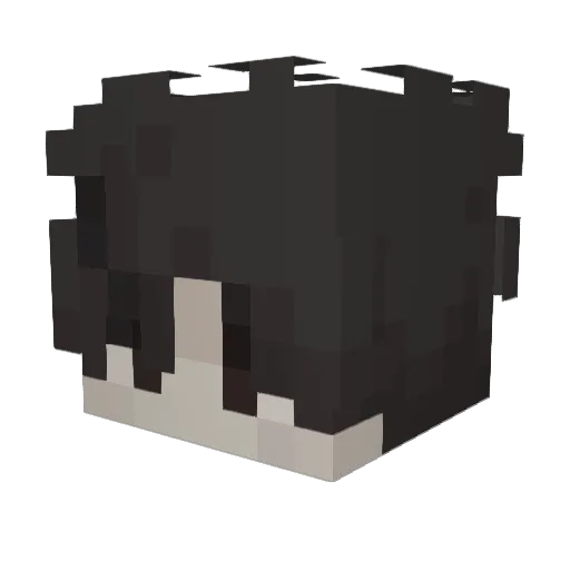 Adzm Minecraft avatar head, 3D render