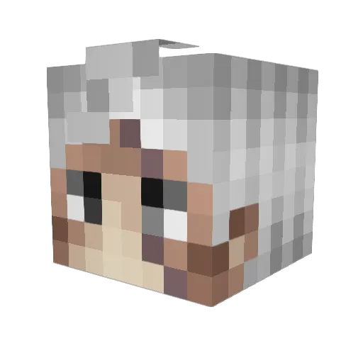 AeAbHbN1451 Minecraft avatar head, 3D render