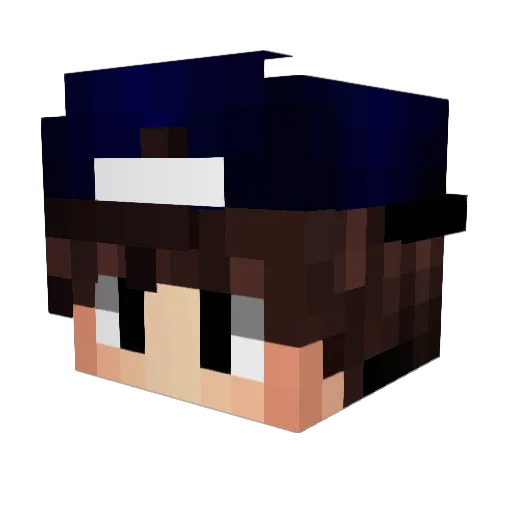 Aecher Minecraft avatar head, 3D render