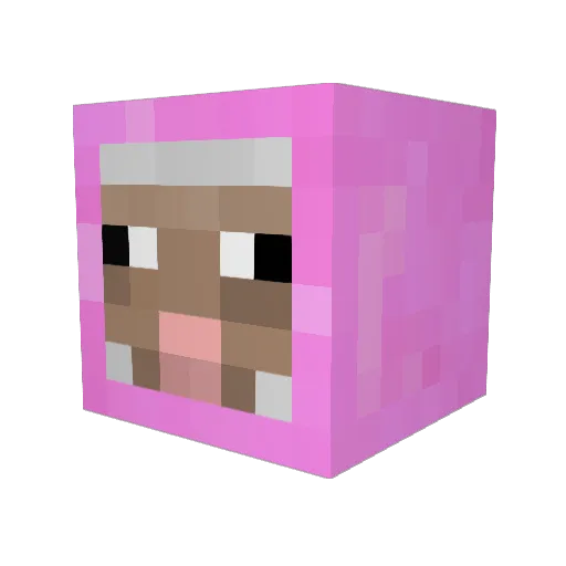 Aedan2000 Minecraft avatar head, 3D render