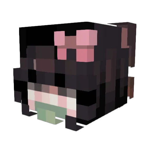 Aedite Minecraft avatar head, 3D render