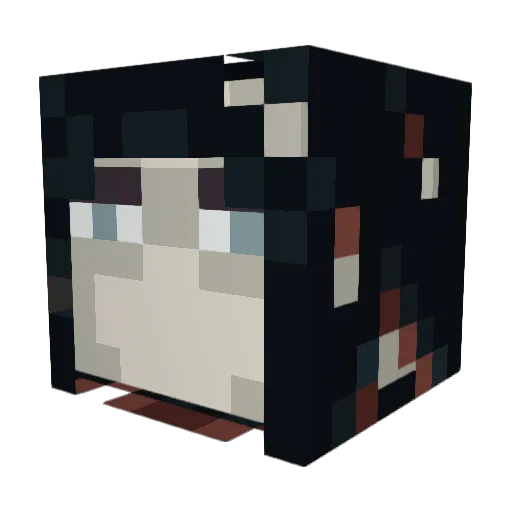 AedynHollow Minecraft avatar head, 3D render