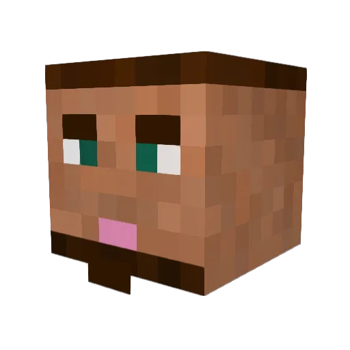 Aedyn_BOOYAH Minecraft avatar head, 3D render