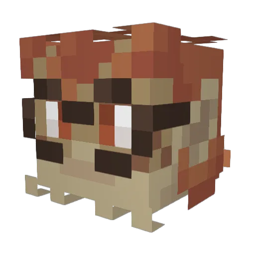 Aegann Minecraft avatar head, 3D render