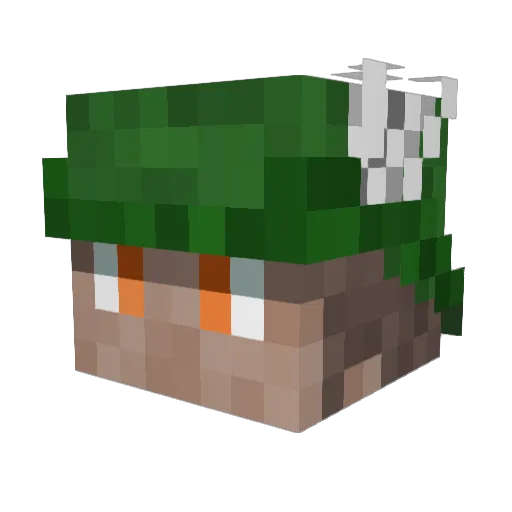Aegis_Ward Minecraft avatar head, 3D render