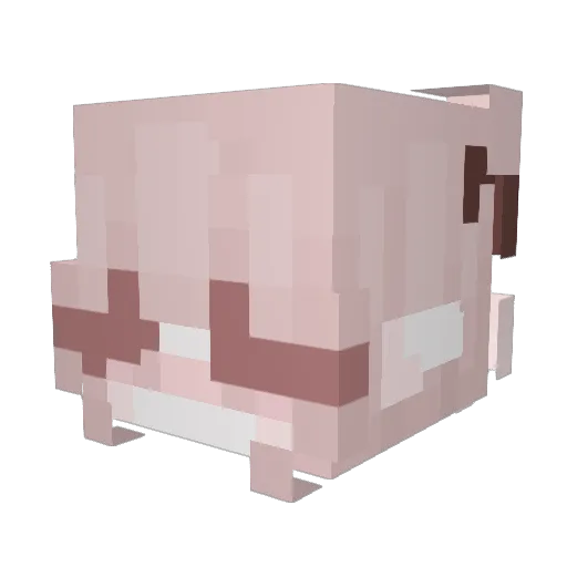 Aein_ Minecraft avatar head, 3D render