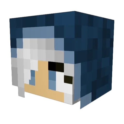 Aeldaile Minecraft avatar head, 3D render
