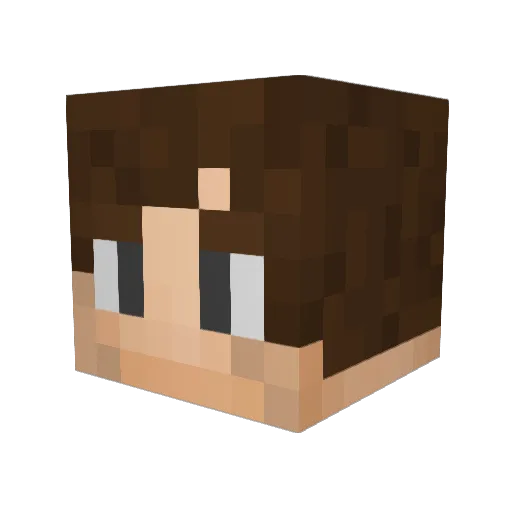 Aelex0207 Minecraft avatar head, 3D render