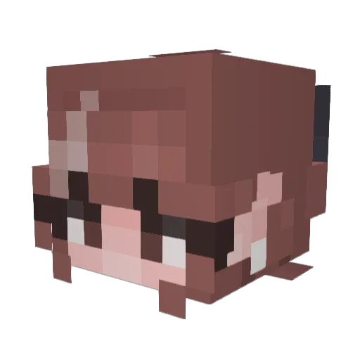 Aelin12 Minecraft avatar head, 3D render