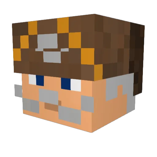 Aellim8 Minecraft avatar head, 3D render