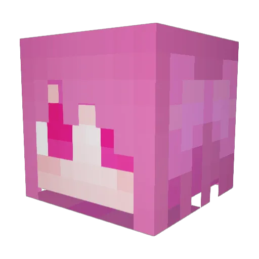 Aenbi Minecraft avatar head, 3D render