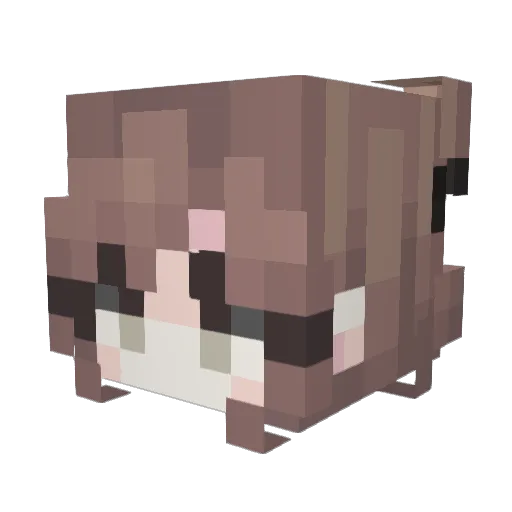 Aenu Minecraft avatar head, 3D render