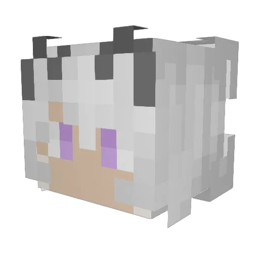AeolusStorms Minecraft avatar head, 3D render