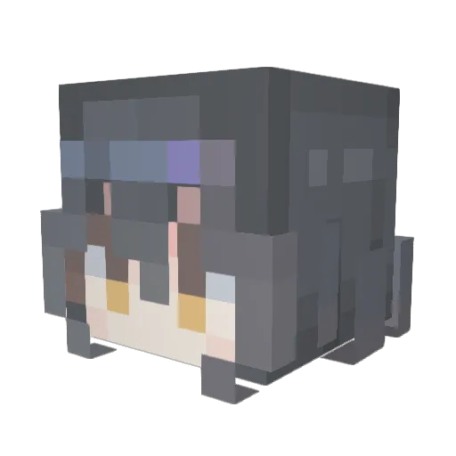 Aeonette_Olamira Minecraft avatar head, 3D render