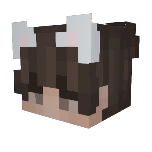 Aephisto Minecraft avatar head, 3D render
