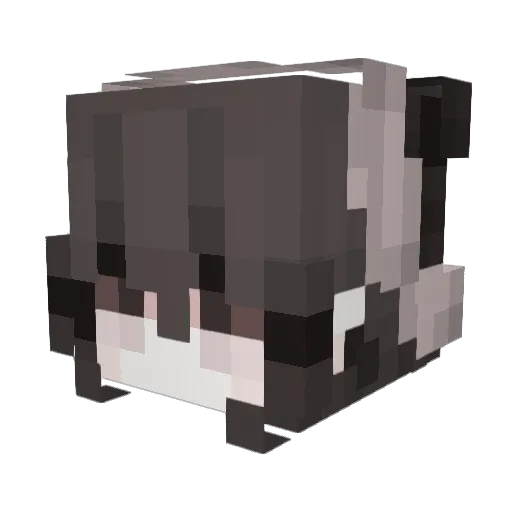 Aeqilia Minecraft avatar head, 3D render