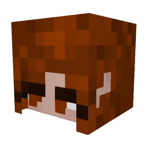 AeraBee Minecraft avatar head, 3D render