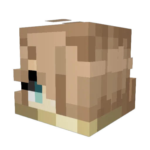 AeraPlane Minecraft avatar head, 3D render