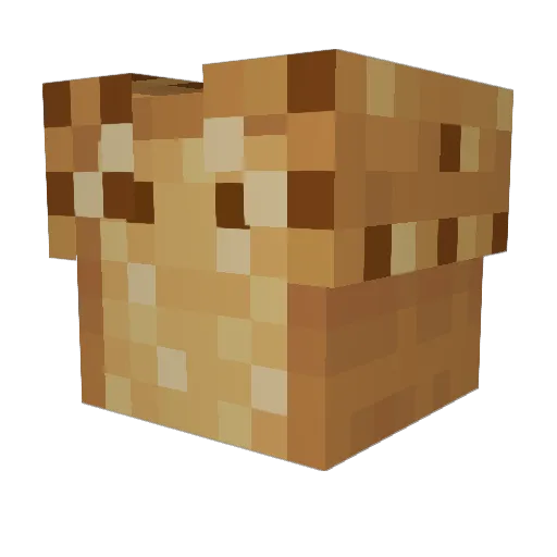 Aeragoth Minecraft avatar head, 3D render