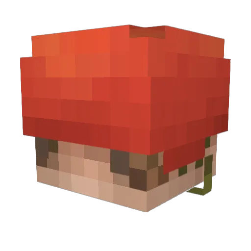 AeranasJinx Minecraft avatar head, 3D render