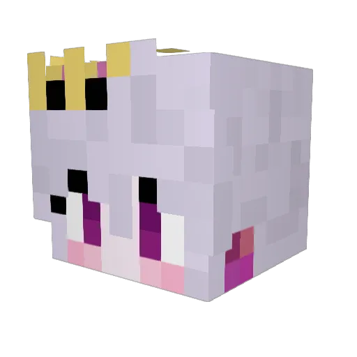 Aeranderp Minecraft avatar head, 3D render