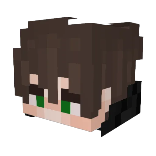 Aerckon Minecraft avatar head, 3D render