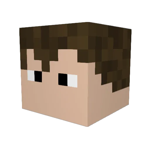 Aerek575 Minecraft avatar head, 3D render