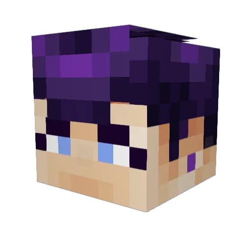 Aereook Minecraft avatar head, 3D render