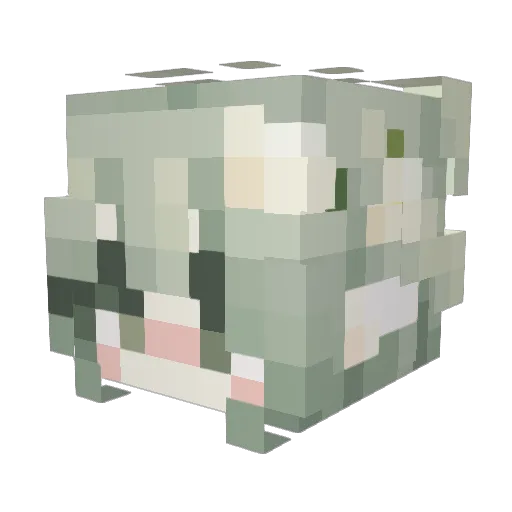 Aerfyrel Minecraft avatar head, 3D render