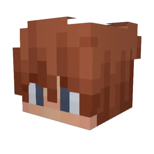 AerhVL Minecraft avatar head, 3D render