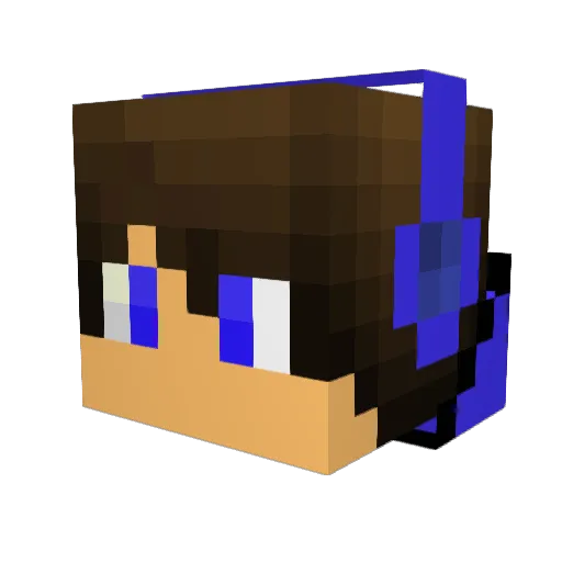 AerialMoon17960 Minecraft avatar head, 3D render