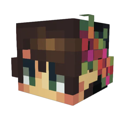Aerikon Minecraft avatar head, 3D render
