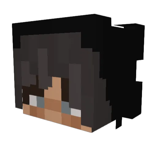 Aeril5 Minecraft avatar head, 3D render