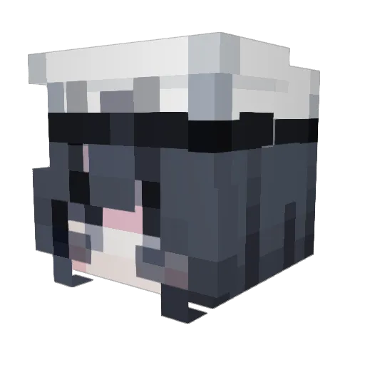 AerilynnCrowett Minecraft avatar head, 3D render