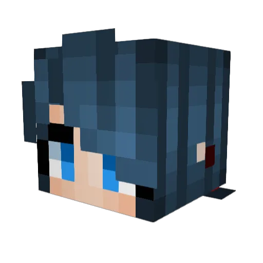 Aerin21 Minecraft avatar head, 3D render