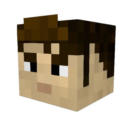 Aeriosus Minecraft avatar head, 3D render