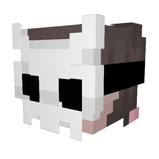 Aeris011 Minecraft avatar head, 3D render